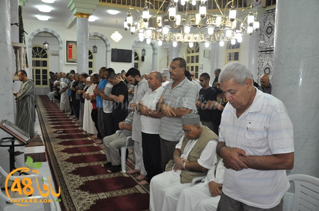 qader yaffa msajed (20).JPG